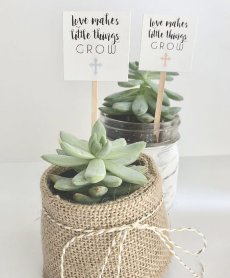 plant_product_gifts_1