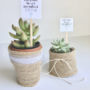 plant_product_gifts_3